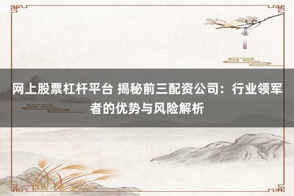 网上股票杠杆平台 揭秘前三配资公司：行业领军者的优势与风险解析