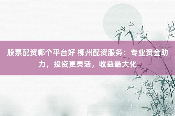 股票配资哪个平台好 柳州配资服务：专业资金助力，投资更灵活，收益最大化