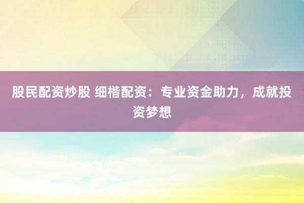 股民配资炒股 细楷配资：专业资金助力，成就投资梦想