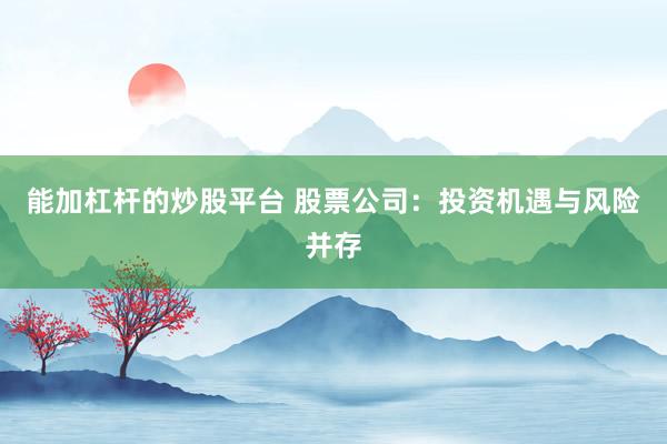 能加杠杆的炒股平台 股票公司：投资机遇与风险并存