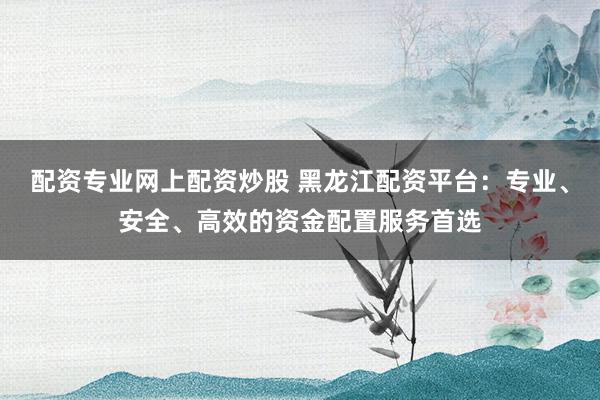 配资专业网上配资炒股 黑龙江配资平台：专业、安全、高效的资金配置服务首选