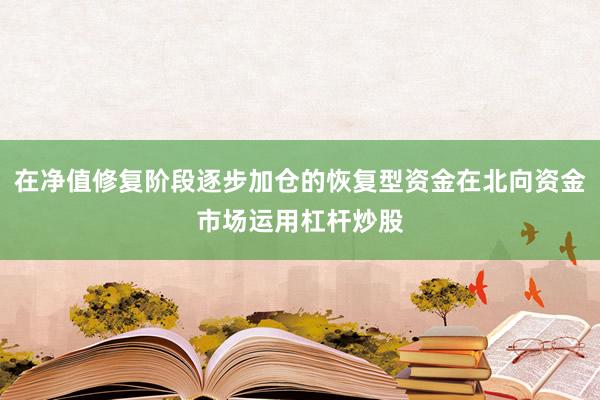 在净值修复阶段逐步加仓的恢复型资金在北向资金市场运用杠杆炒股