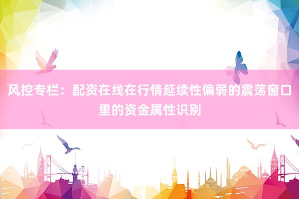 风控专栏：配资在线在行情延续性偏弱的震荡窗口里的资金属性识别