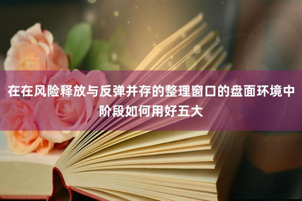 在在风险释放与反弹并存的整理窗口的盘面环境中阶段如何用好五大