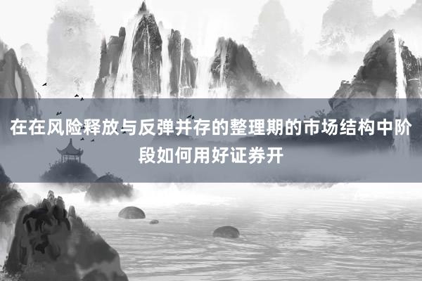 在在风险释放与反弹并存的整理期的市场结构中阶段如何用好证券开